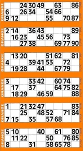 Single Game Bingo Flyers (600 Tickets)